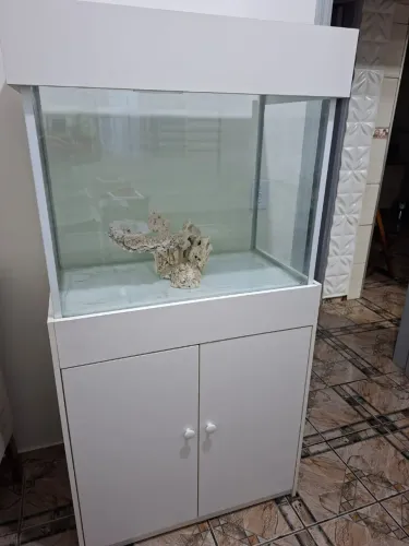Aquário 