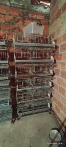 BATERIA PARA CODORNAS 