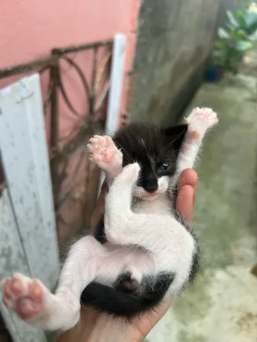 Doação