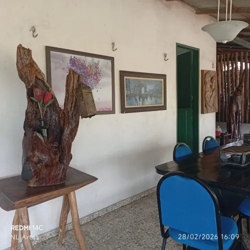 Chácara em santarém para alugar e vender