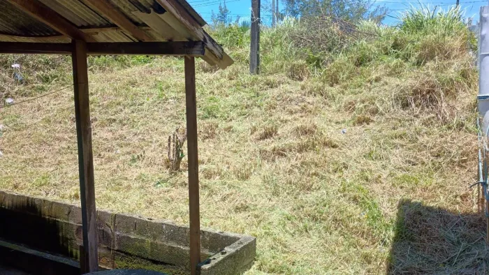 Serviços Domésticos em Geral | Poda, Roçado e Manutenção Residencial