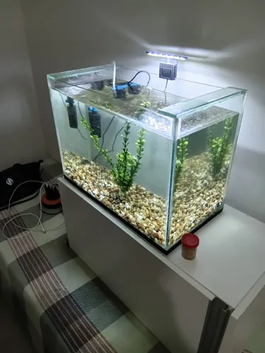 Aquário Completo 50L