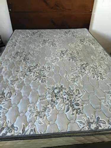 Cama