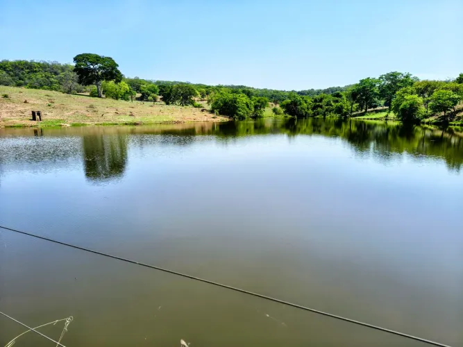 Fazenda 451 Alqueires - Dupla Aptidão!