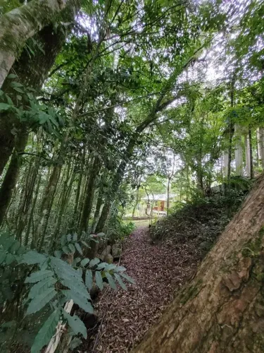 Chacará a venda em São José dos Pinhais 24.400m²