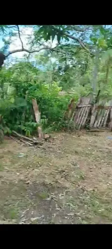 Sitio no ramal do maniguara km 42 na am 070