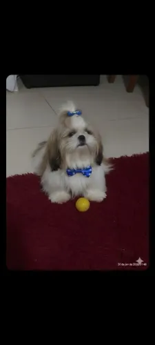 Doação