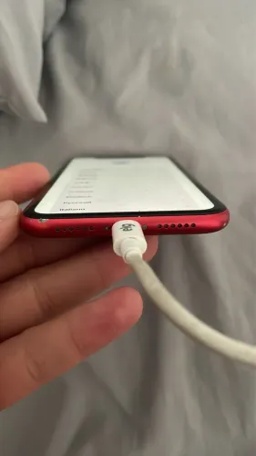 iPhone 11 Usado em Excelente Estado - Ótimo Custo-Benefício