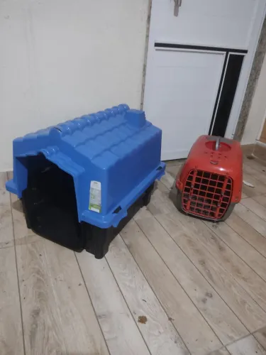 Casa e trans pet