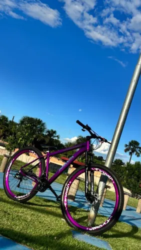 Bicicleta aro 29 roxa