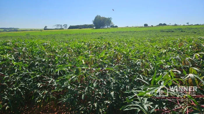 Sítio com 1 dormitório à venda, 199650 m² por R$ 2.600.000,00 - Rural - Flórida/PR
