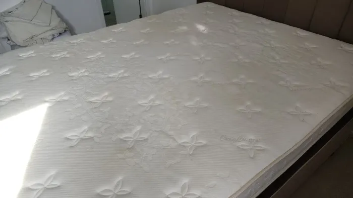 Cama Box KingStar President Queen