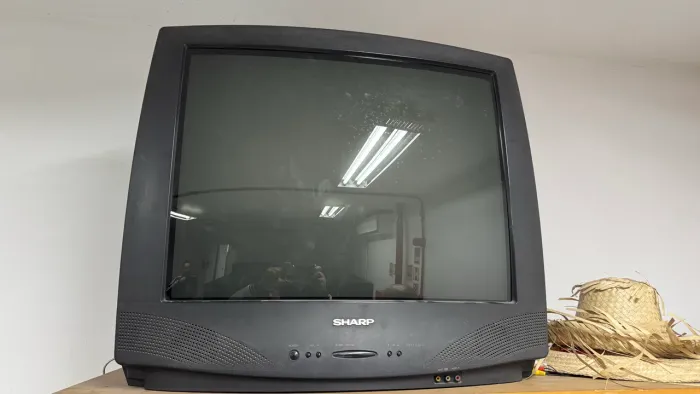 TV Sharp 29 polegadas.