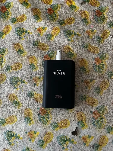 Zara Silver Man