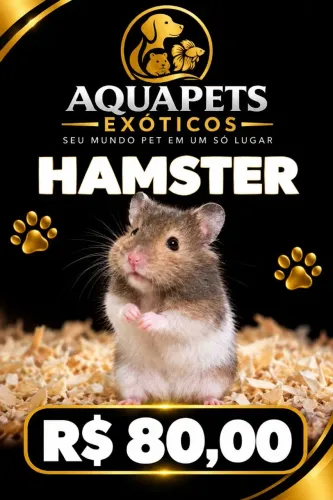 Hamster Sírios