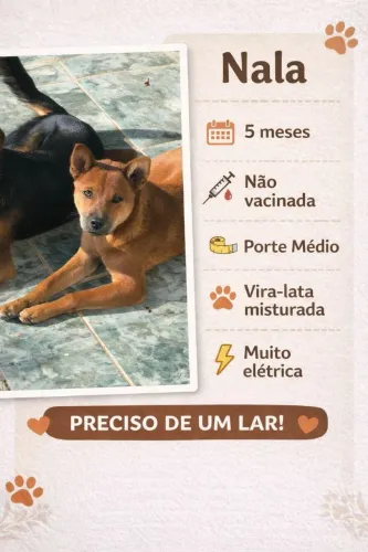 Doação responsável 