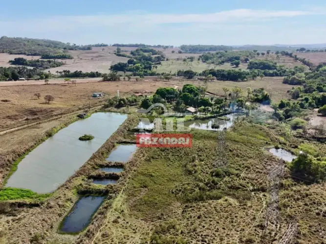Fazenda 7 alqueires ( 33,88 hectares) - Professor Jamil - GO