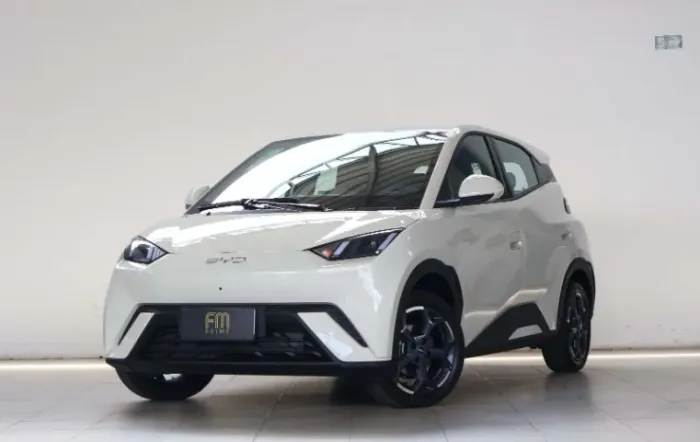 BYD Dolphin Mini (Elétrico) 2027