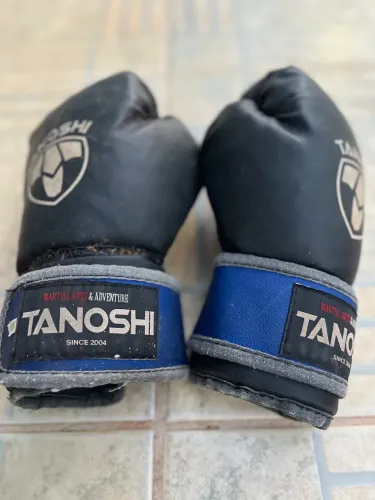 Luva de Muay thay Tanoshi Usada 