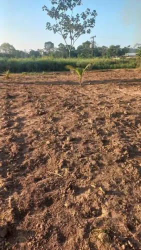 Vendo terreno
