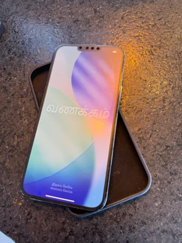 iPhone 13 Pro Max