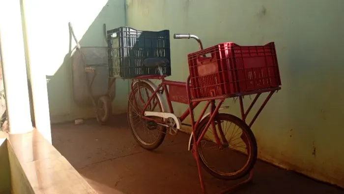 Bicicleta cargueira
