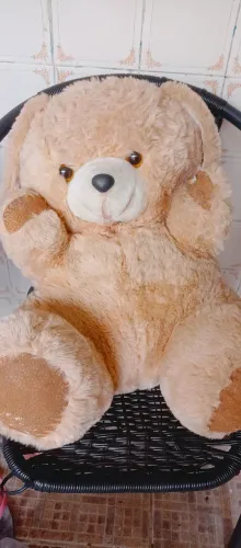 Urso grande 