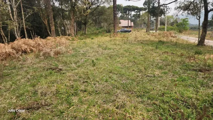 Terreno com Acesso Facilitado e Rica Vegetação