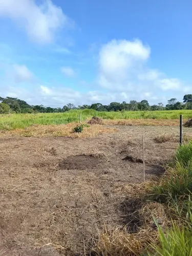 Faço qualquer negócio no terreno 