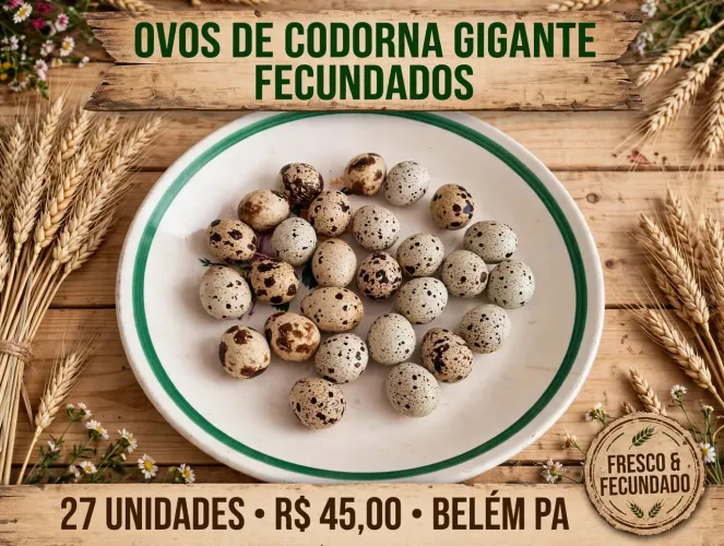 Disponível 