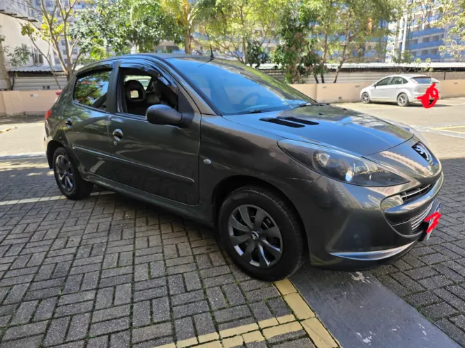 Peugeot 207 XR 1.4 Flex 8V 5P 2013