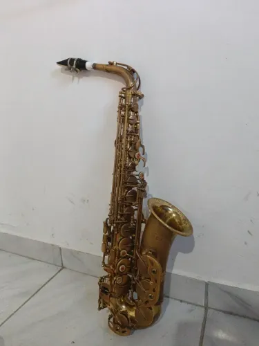Sax alto Hoyden