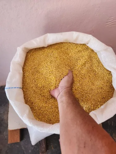 Farinha Amarela Regional 10,00 Litro, 150,00 Lata, 500,00 Saco