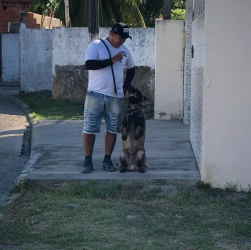 Adestramento de animais de estimação, e aluguel de cães de guarda.