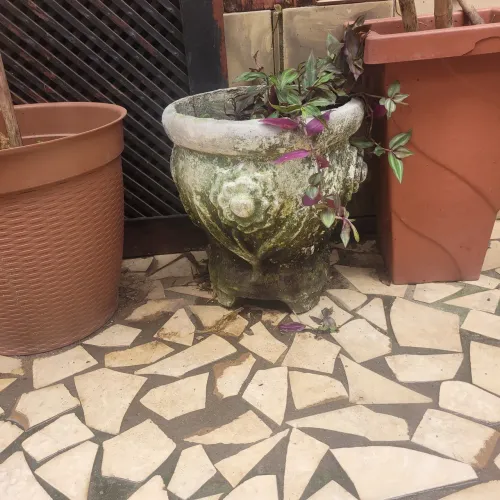 Vasos de cimento