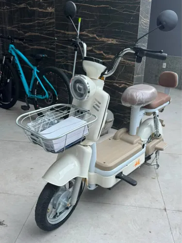 SCOOTER BICICLETA ELÉTRICA 800W ZERO