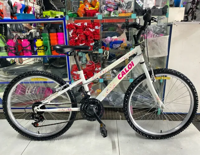 Bicicleta Caloi Ceci
