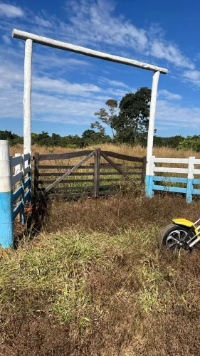 Terreno 20.000 m2 na regiao de Professor Jamil, plano, sem nenhuma pedra, terra maçiça!