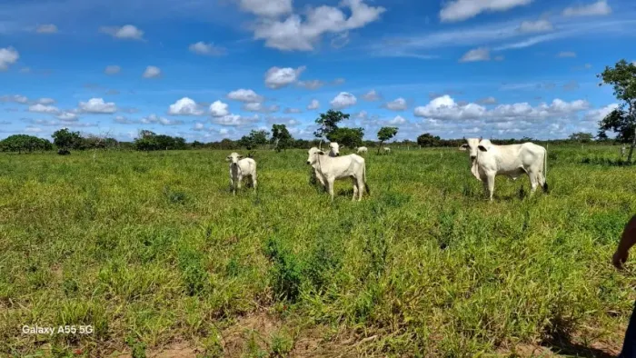 VENDA FAZENDA LOCALIZAÇÃO PRIVILEGIADA ENTRE SERRINHA, BIRITINGA E NOVA SOURE