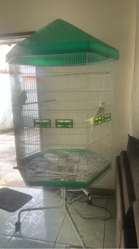 Vendo viveiro para calopsita