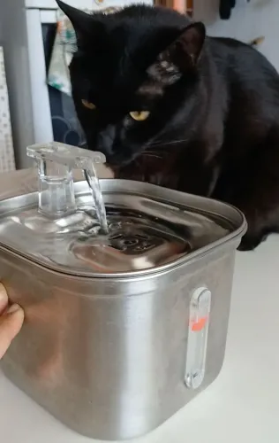 Bebedouro fonte inox para pet