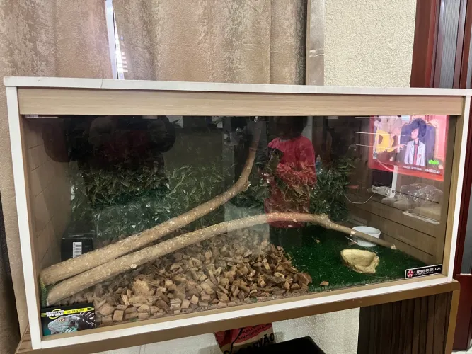 TERRARIO 