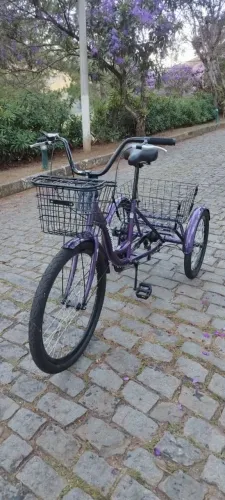 Triciclo deLuxe marca DreamBike