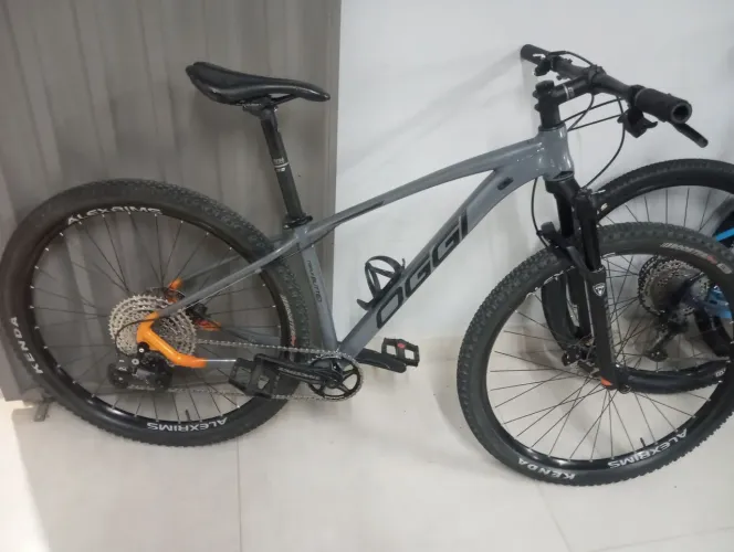 Bicicleta Oggi 7.3