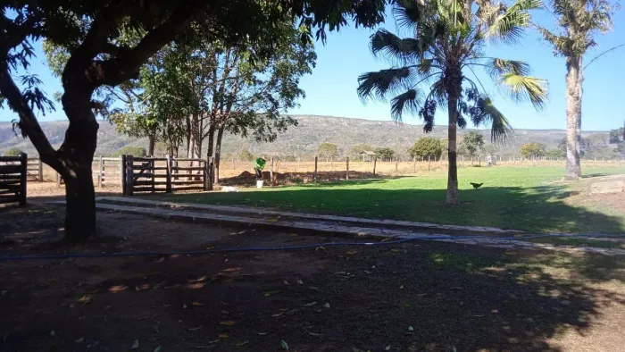 Fazenda para Venda em Buritis