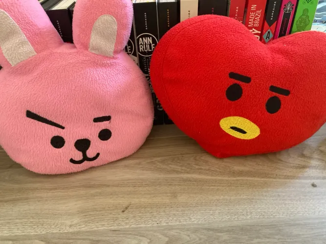 PAR DE PELÚCIAS BT21 (COOKY E TATA)