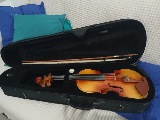 Violino
