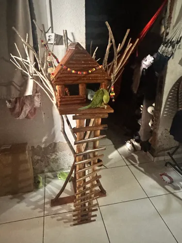 Casinha aves