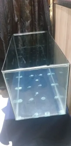 Terrário e/ou Aquário vidro usado