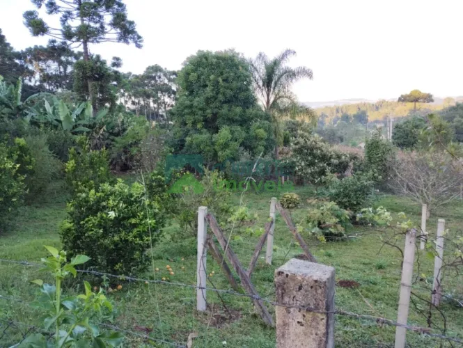 Terreno Lote